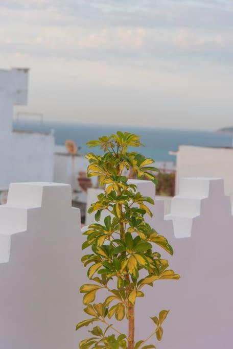 شقة Dar Louban House In Tangier Kasbah المظهر الخارجي الصورة